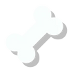 The Foundation Builds