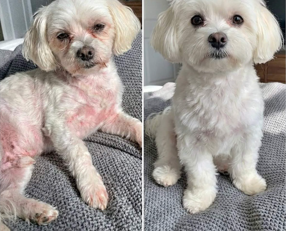 Colin before and after - Week 1 vs Week 10