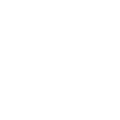 No Excessive 
Paw Licking