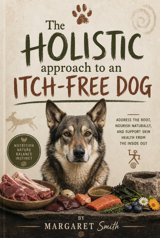 The Holistic approach to an itch-free dog